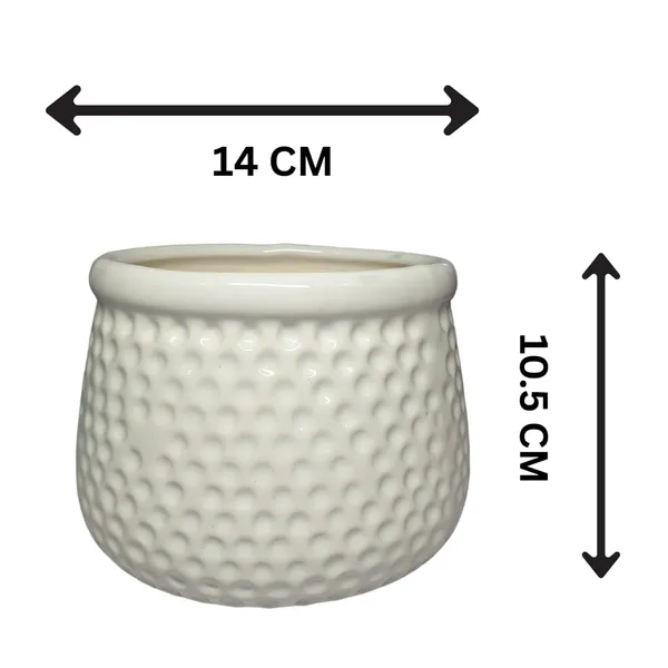 White_Matt,_Handi_Shape_Dotted_Ceramic_Planter_For_Plants