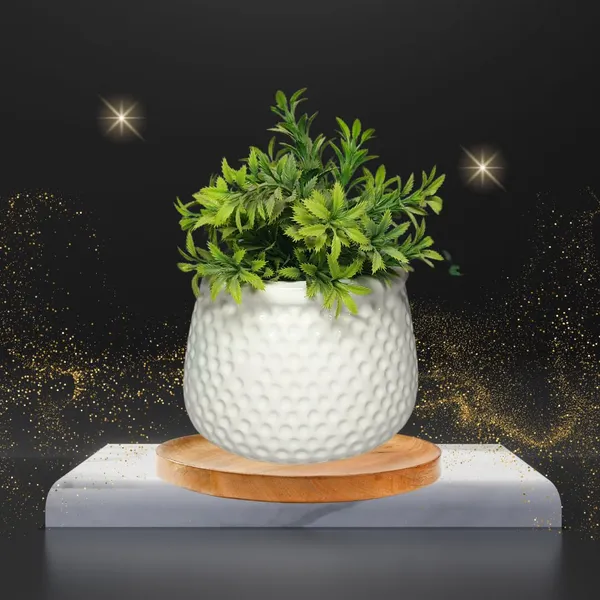White_Matt,_Handi_Shape_Dotted_Ceramic_Planter_For_Plants