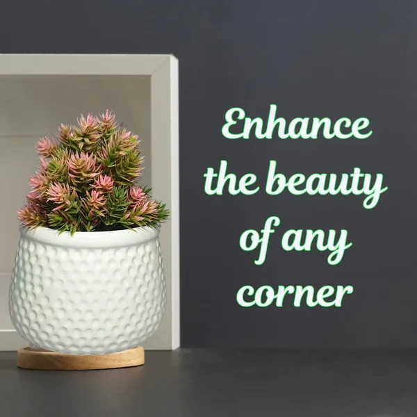 White_Matt,_Handi_Shape_Dotted_Ceramic_Planter_For_Plants