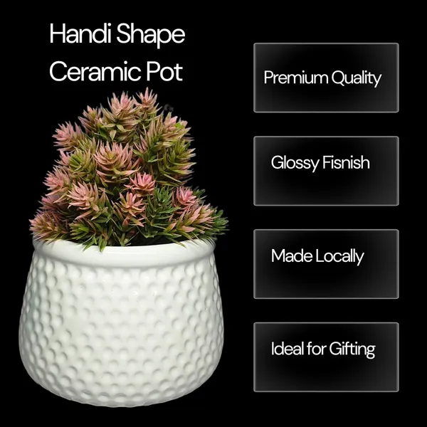 White_Matt,_Handi_Shape_Dotted_Ceramic_Planter_For_Plants