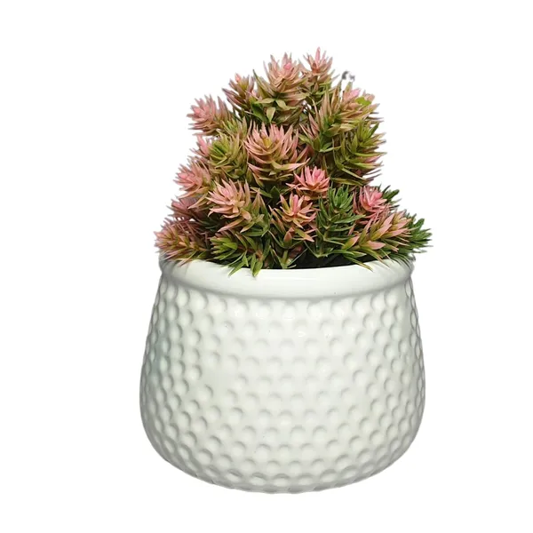 White_Matt,_Handi_Shape_Dotted_Ceramic_Planter_For_Plants