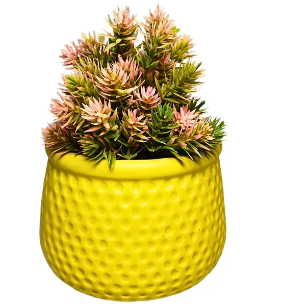 Yellow_Matt,_Handi_Shape_Dotted_Ceramic_Planter_For_Plants