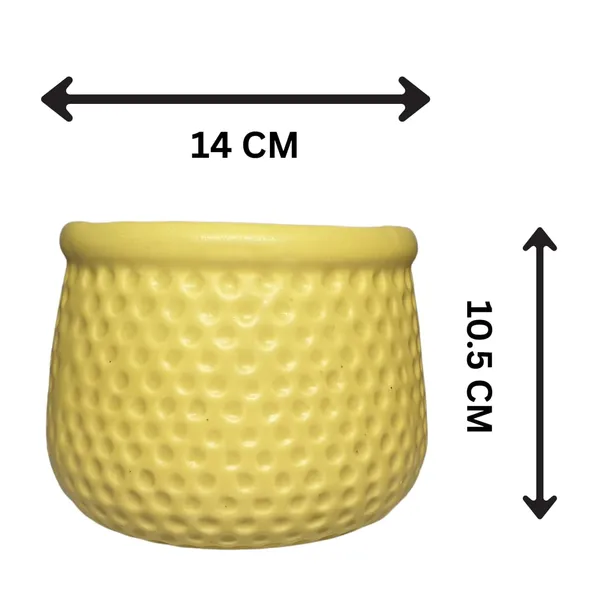 Yellow_Matt,_Handi_Shape_Dotted_Ceramic_Planter_For_Plants