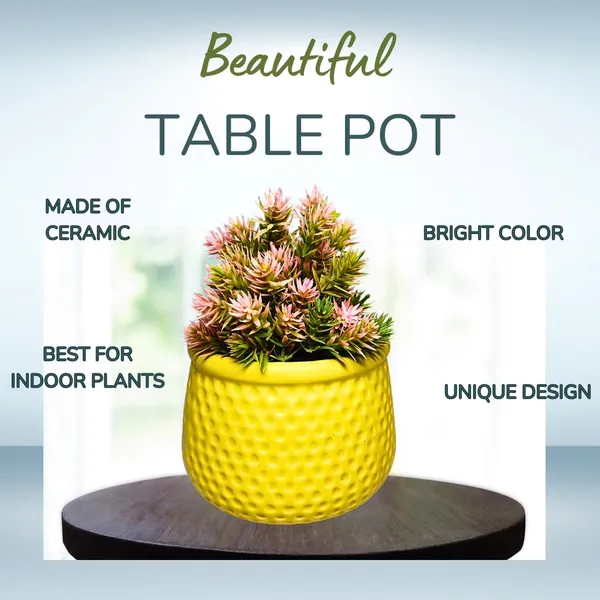 Yellow_Matt,_Handi_Shape_Dotted_Ceramic_Planter_For_Plants