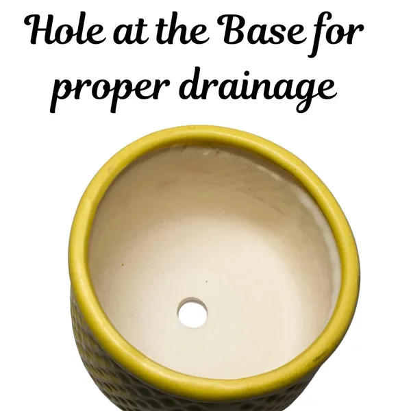 Yellow_Matt,_Handi_Shape_Dotted_Ceramic_Planter_For_Plants