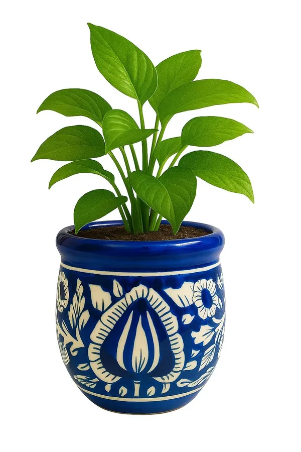 Blue_&_White_Beautiful_Handcrafted,_Mughal_Art_Design_Ceramic_Pot_For_Home,_Office_Or_Any_Space_(Plant_Not_Included)_(‎11D_X_11W_X_14H_Cm)