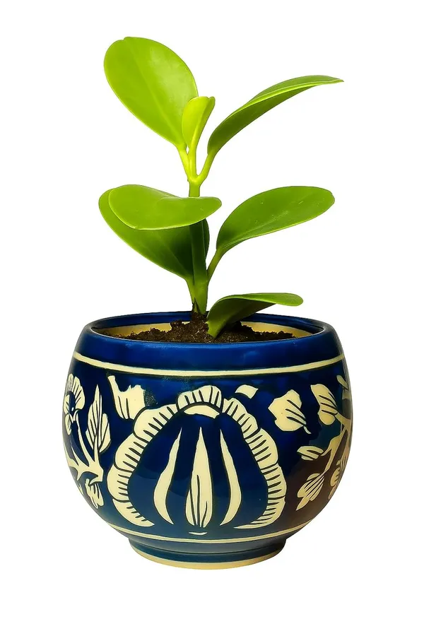 Blue_&_White_Beautiful_Ball_Shape_Handcrafted,_Mughal_Art_Design_Ceramic_Pot_For_Home,_Office_Or_Any_Space_(Plant_Not_Included)_(‎11D_X_11W_X_10H_Cm)