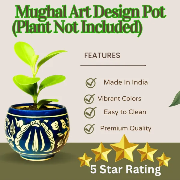 Blue_&_White_Beautiful_Ball_Shape_Handcrafted,_Mughal_Art_Design_Ceramic_Pot_For_Home,_Office_Or_Any_Space_(Plant_Not_Included)_(‎11D_X_11W_X_10H_Cm)