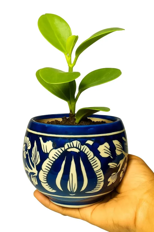 Blue_&_White_Beautiful_Ball_Shape_Handcrafted,_Mughal_Art_Design_Ceramic_Pot_For_Home,_Office_Or_Any_Space_(Plant_Not_Included)_(‎11D_X_11W_X_10H_Cm)