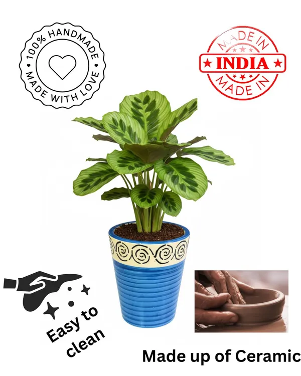 Brills_Ceramic_Premium_Planter_for_Indoor_Plants_|_Blue_Glossy_-_Fade_Resistant_Flower_Pot_Home_Decor_Pot_for_Indoor_&_Outdoor_Plants_-_Easy_to_Clean_(Plant_Not_Included)