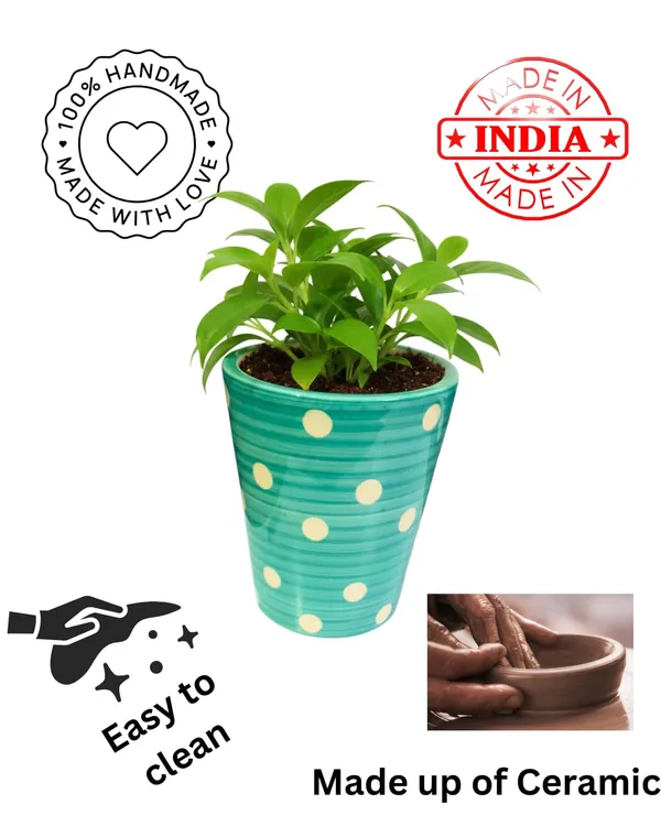 Handcrafted_Ceramic_Pot_for_Plants_�_Polka_Dot_Design_|_Made_in_India_|_Strong,_Chip-Resistant,_Color-Fade_Proof_|_Indoor_&_Outdoor_Flower_Planter_|_Easy_to_Clean-_Turquoise_(Plant_Not_Included)