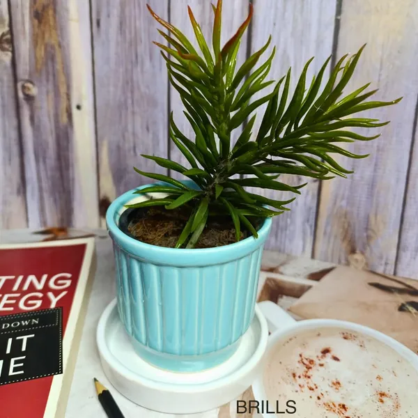 Teal_Ceramic_Flower_Pot_With_Base_Tray_(Plant_Not_Included)_-_Small
