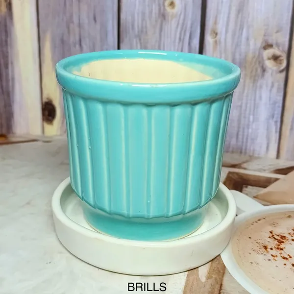 Teal_Ceramic_Flower_Pot_With_Base_Tray_(Plant_Not_Included)_-_Small