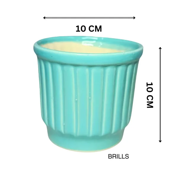 Teal_Ceramic_Flower_Pot_With_Base_Tray_(Plant_Not_Included)_-_Small