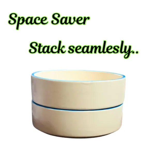 Off_White_With_Teal_Color_Rim_Matte_Finish_Ceramic_Stackable,_Serving_Flat_Bowl_(450_Ml)