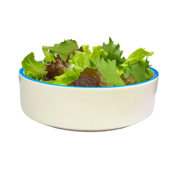 Off_White_With_Teal_Color_Rim_Matte_Finish_Ceramic_Stackable,_Serving_Flat_Bowl_(450_Ml)