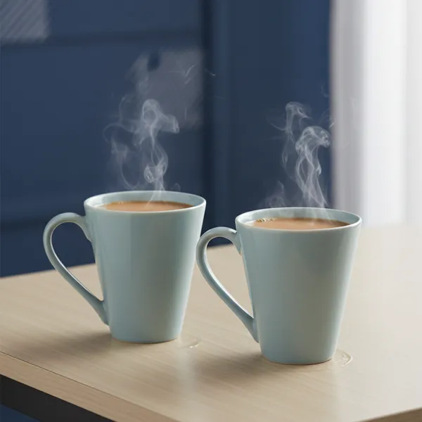 Grey_Fine_Porcelain_Glossy_Tea/_Coffee_Mug_Set