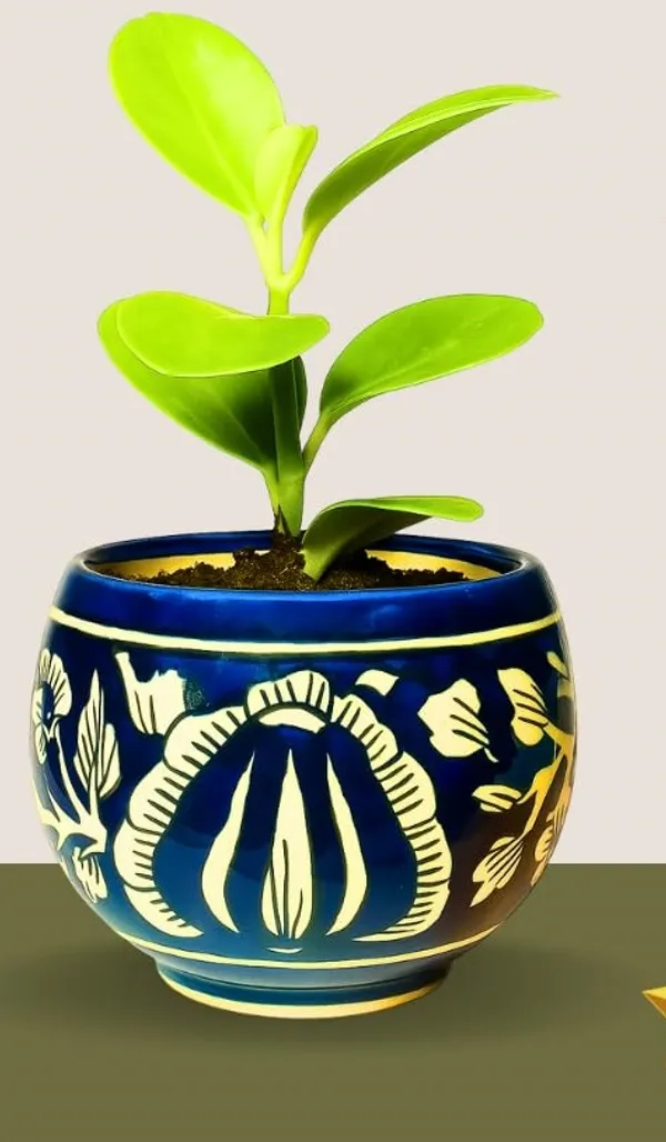 Blue_&_White_Beautiful_Ball_Shape_Handcrafted,_Mughal_Art_Design_Ceramic_Pot_For_Home,_Office_Or_Any_Space_(Plant_Not_Included)_(‎11D_X_11W_X_10H_Cm)