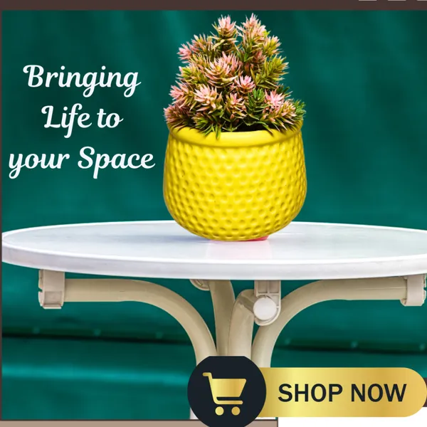 Yellow_Matt,_Handi_Shape_Dotted_Ceramic_Planter_For_Plants
