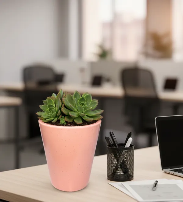 Modern_Ceramic_Pink_Plant_Pot_–_5.5_Inch_Height,_Decorative_Flower_Planter_for_Indoor_Home_&_Office_Décor_with_Drainage_Hole_–_Ideal_for_Succulents,_Cactus,_Herbs_–_(Plant_Not_Included)