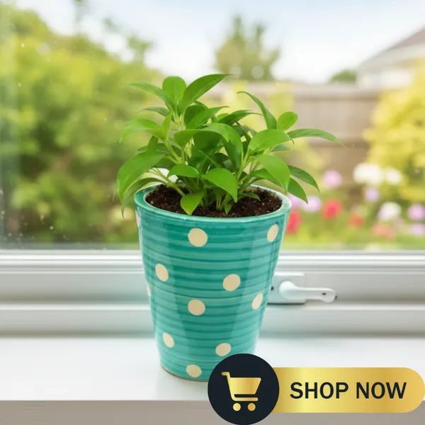 Handcrafted_Ceramic_Pot_for_Plants_�_Polka_Dot_Design_|_Made_in_India_|_Strong,_Chip-Resistant,_Color-Fade_Proof_|_Indoor_&_Outdoor_Flower_Planter_|_Easy_to_Clean-_Turquoise_(Plant_Not_Included)