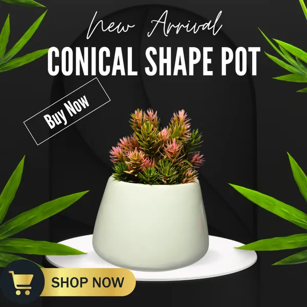 White_Glossy,_Conical_Shape_Ceramic_Planter_For_Plants