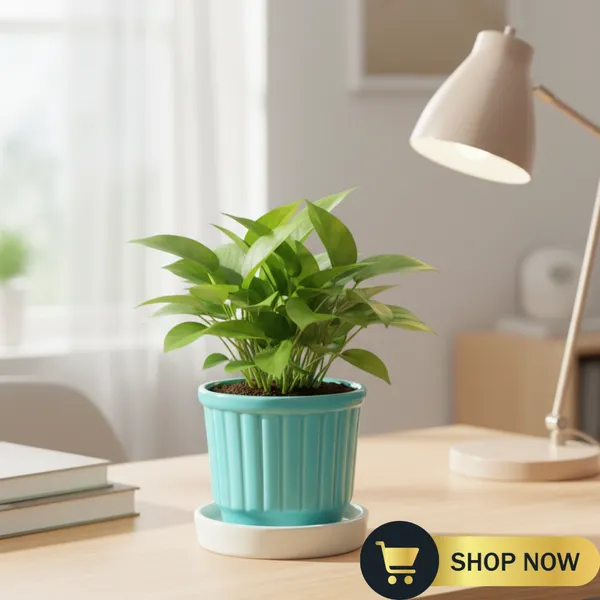 Teal_Ceramic_Flower_Pot_With_Base_Tray_(Plant_Not_Included)_-_Small