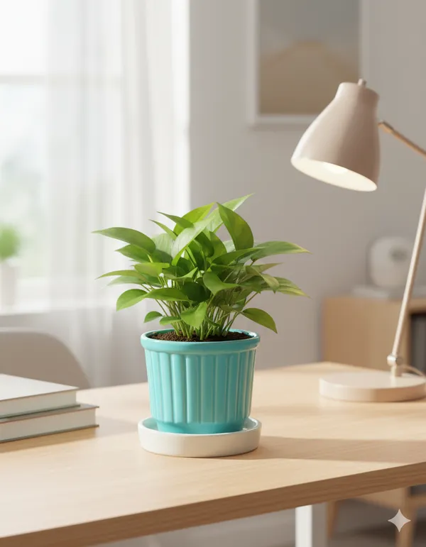 Teal_Ceramic_Flower_Pot_With_Base_Tray_(Plant_Not_Included)_-_Small