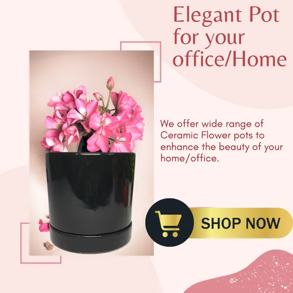 Black_Beautiful_Ceramic_Tube_Shape_Planter_With_Plate_(Plant_Not_Included)