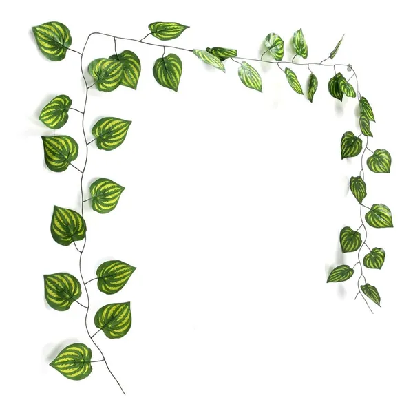 Artificial_Small_Watermelon_Leaf_Creeper_Decorative_Hanging_Greenery_Vine_For_Home_Wall_Decoration_Balcony_Garden_Indoor_Outdoor_And_Event_Decor_Pack_of_12