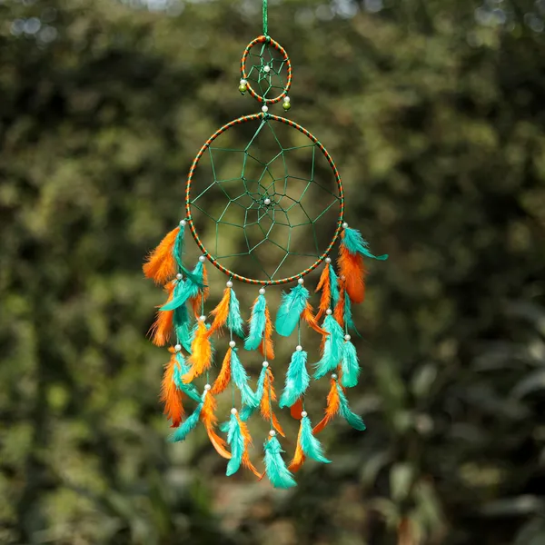 Dream_Catcher_with_Lights_Wall_Hanging_with_2_Ring_with_Multicolor_Feathers_and_Lights_for_Home_D?cor,_Diwali_Gifting_Hanging_Decoration_(Pack_of_2)