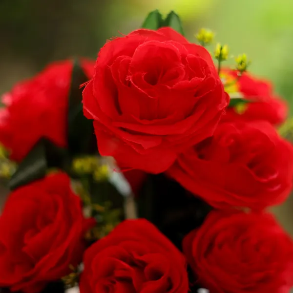 Artificial_Red_Rose_Flower_Bunch_With_12_Leaves_Decorative_Floral_Arrangement_For_Home_Living_Room_Table_Centerpiece_Wedding_Decoration_Gift_Item_Pack_of_1__(Vase_Not_Included)