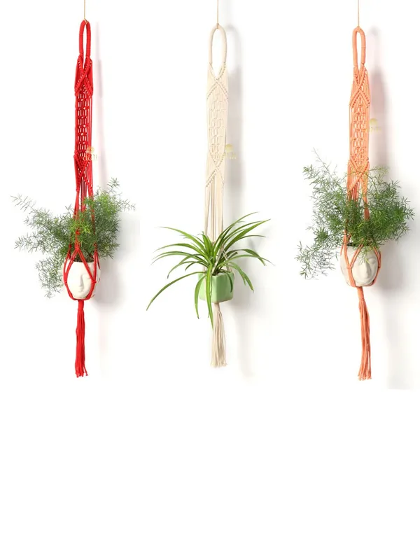 Pack_of_3_Vibrant_Handcrafted_Macrame_Plant_Hangers_Colorful_Cotton_Rope_Indoor_Wall_Hanging_Planters_for_Home_Decor_&_Balcony