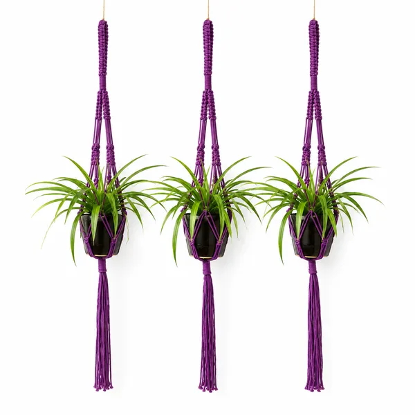 Handcrafted_Pack_of_3_Macrame_Plant_Hanger_Purple_Cotton_Rope_Double_Hanging_Planter_for_Indoor_Wall_Decor_&_Space_Saving_Vertical_Gardening
