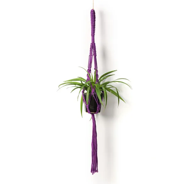 Handcrafted_Pack_of_3_Macrame_Plant_Hanger_Purple_Cotton_Rope_Double_Hanging_Planter_for_Indoor_Wall_Decor_&_Space_Saving_Vertical_Gardening