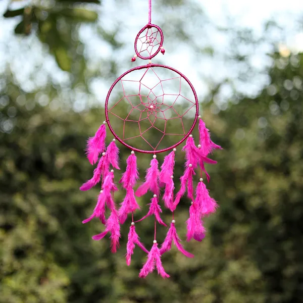 Dream_Catcher_with_Lights_Wall_Hanging_with_2_Ring_with_Pink_&_Yellow_Feathers_and_Lights_for_Home_D?cor,_Diwali_Gifting_Hanging_Decoration_(Pack_of_2)