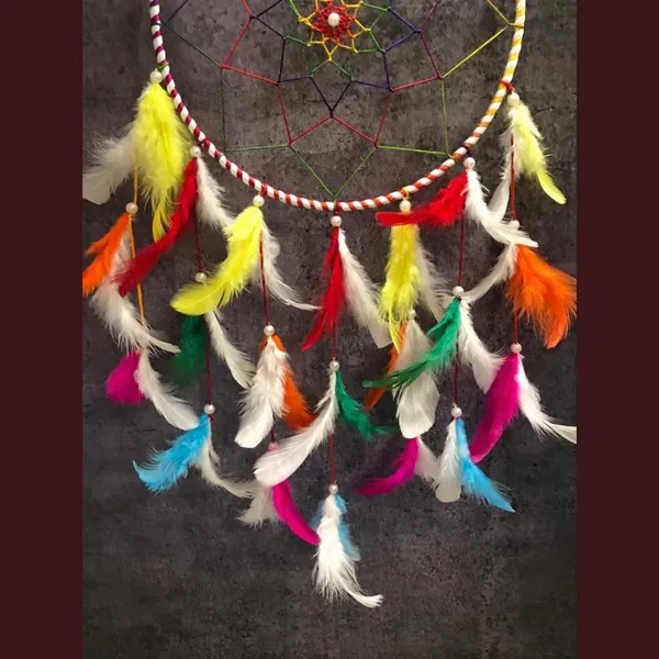 Pack_of_2_Dream_Catcher_Wall_Hanging_with_Multicolor_Feathers_for_Home_D?cor,_Festive_Gifting_Hanging_Decoration_(19x6_inch)