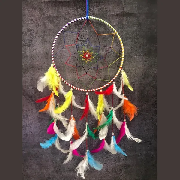 Pack_of_2_Dream_Catcher_Wall_Hanging_with_Multicolor_Feathers_for_Home_D?cor,_Festive_Gifting_Hanging_Decoration_(19x6_inch)