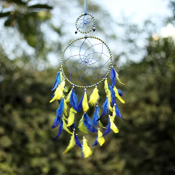 Dream_Catcher_with_Lights_Wall_Hanging_with_2_Ring_with_Multicolor_Feathers_and_Lights_for_Home_Décor,_Diwali_Gifting_Hanging_Decoration_(Pack_of_2)