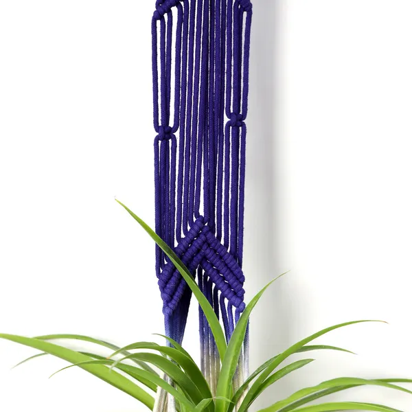 Pack_of_2_Dual-Tone_Macram�_Wall_Hanging_Planters_�_Handcrafted_Navy_Blue_&_Ivory_Cotton_Rope_Indoor_Outdoor_Plant_Hangers_for_Balcony_&_Living_Room_Decor