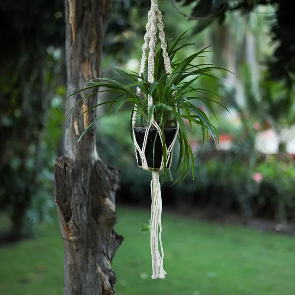 Pack_of_2_Handcrafted_Macrame_Plant_Hangers_with_Natural_Bohemian_Cotton_Rope_Wall_Hanging_Planter_Pack_for_Indoor_Home_Decor_and_Vertical_Garden_Display