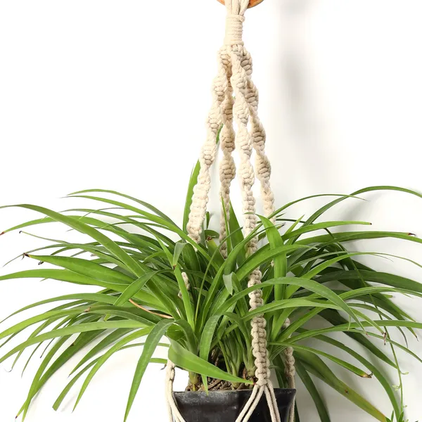 Pack_of_2_Handcrafted_Macrame_Plant_Hangers_with_Natural_Bohemian_Cotton_Rope_Wall_Hanging_Planter_Pack_for_Indoor_Home_Decor_and_Vertical_Garden_Display
