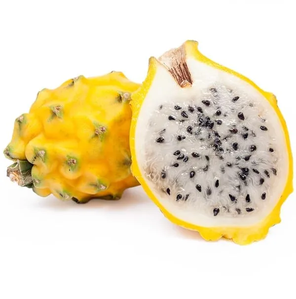 Pack_Of_3_Combo_Dragon_Fruit_Hybrid_Plant