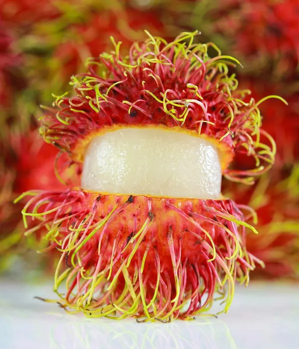 Rambutan_Malaysian_Varieties_Hybrid_Fruit_Plant