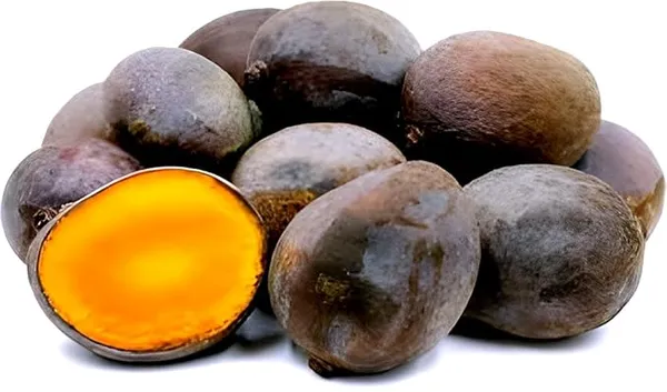 Thai_Black_Stone_Mango_Grafted_Fruit_Plant
