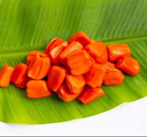 Thai_All_Time_Red_Jackfruit_Hybrid_Grafted_Plant