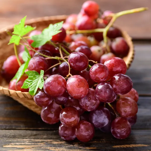 Victoria_Seedless_Grapes_Hybrid_Air_Learning_Grafted_Fruit_Plant
