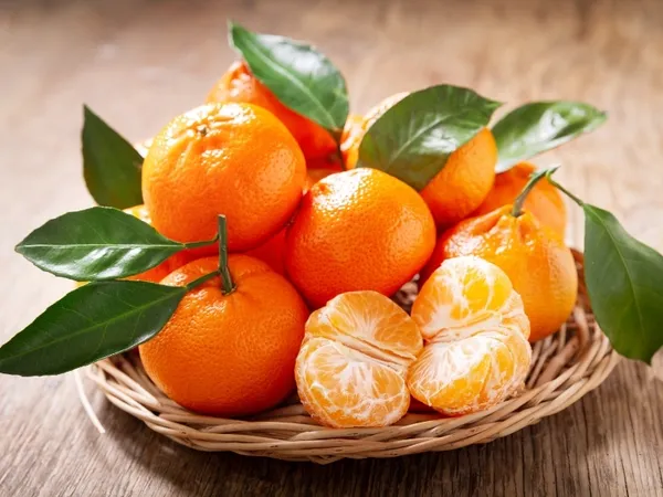 Chinese_Sweet_Orange_Santra_Hybrid_Grafted_Fruit_Plant