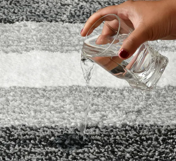 MAA_HOME_CONCEPT_Bathroom_Rug_Mat,Bath_Mat,Extra_Soft_and_Absorbent_Microfiber_Bath_Rugs,_Non-Slip_Plush_Shaggy_Bath_Carpet,_Machine_Wash_Dry,_Bath_Mats_(Grey,_50x80_CM)