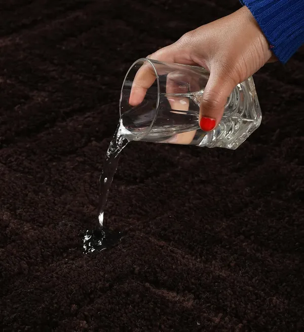 MAA_HOME_CONCEPT_Microfiber_Rugs_Bath_Mat_Super_Absorbent/Anti-Skid_Mats/Bedroom/Door_Mat/Kitchen/Mat_(Brown,_50X80_CM)